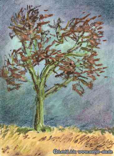 Herbstwind