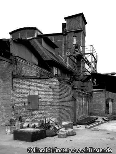 BauerSchaurte06