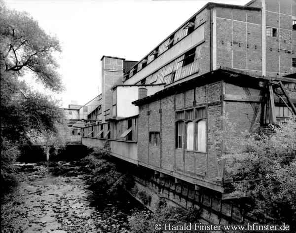 BauerSchaurte09