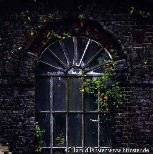 CRMF4_Window
