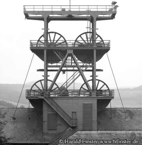 MeggenSachtleben01