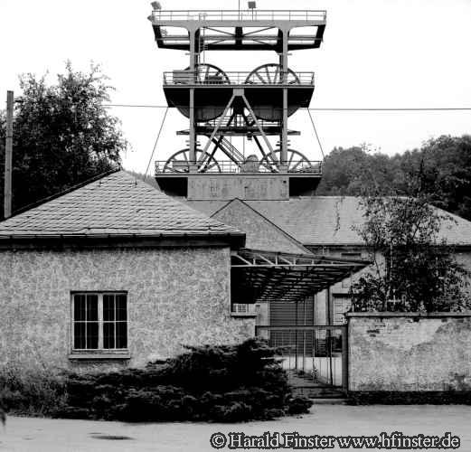 MeggenSachtleben02