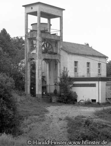 MeggenSachtleben09