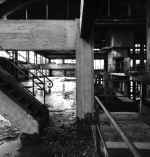 enlarge image