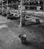 enlarge image