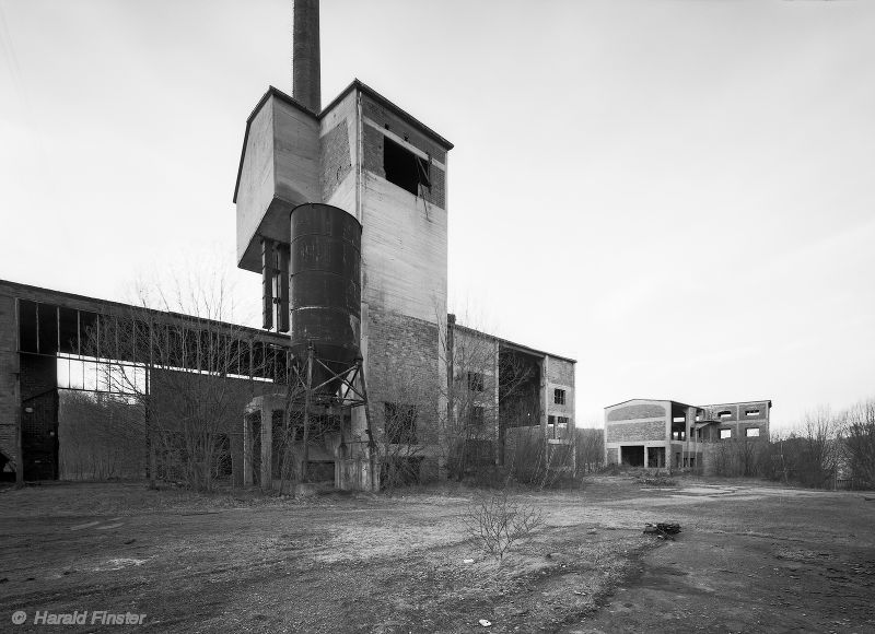 lime plant "Rüst"