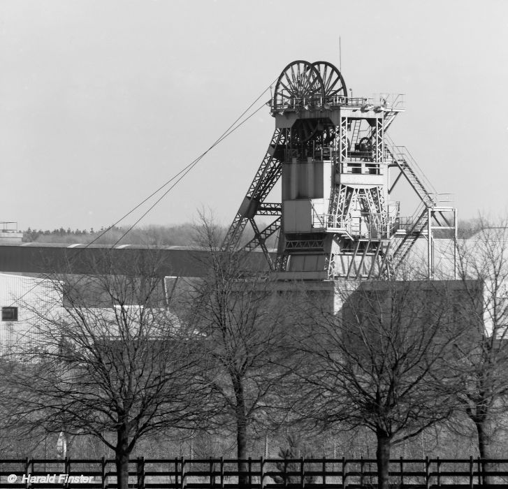 Bilsthorpe colliery