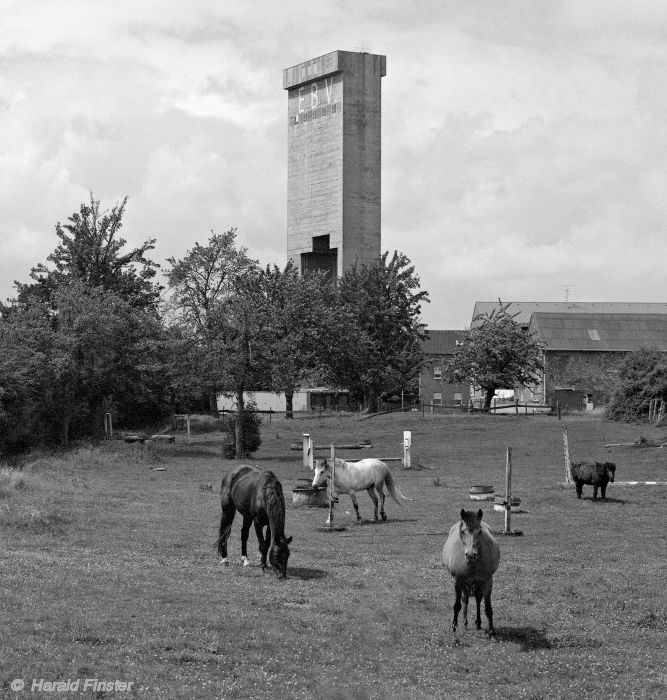 colliery 'Gouley' (Eschweiler Bergwerks Verein)