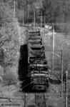 narrow gauge locomotive RBW